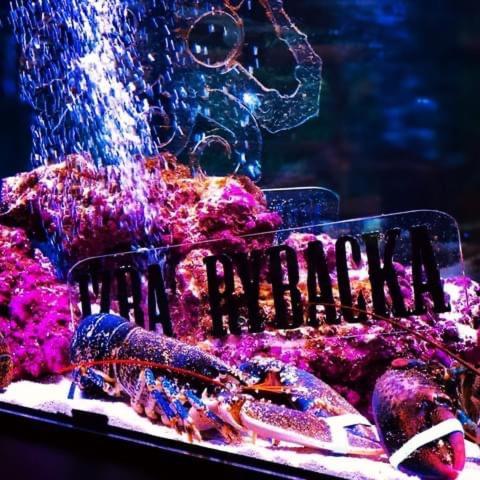 Restauracja I Noclegi Izba Rybacka W Krainie Wygaslych Wulkanow Podgorki Экстерьер фото